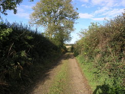 P2007A309890	Heading northwest towards Linkenholt.