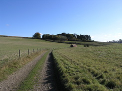 P2007A309902	The track heading northwest from Hart Hill Down.