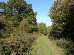 P2007A309905	The track heading northwest from Hart Hill Down.