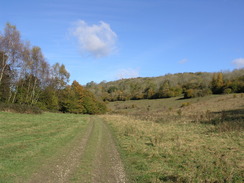 P2007A309906	The track heading northwest from Hart Hill Down.