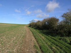 P2007A309915	Following the Test Way north to Inkpen Hill.