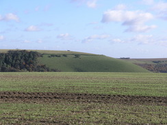 P2007A309916	Following the Test Way north to Inkpen Hill.