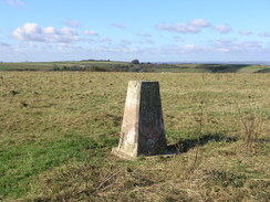 P2007A309945	Walbury Hill trig pillar.