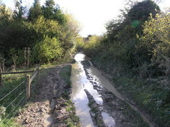 P2007A309955	A flooded stretch of track.