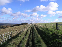 P2007A309963	Heading southeast towards Pilot Hill.