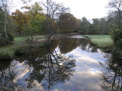 P2007B020039	The Lymington River to the north of Brockenhurst.