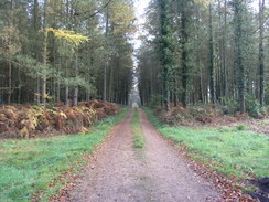 P2007B020099	Following tracks towards Pooksgreen.