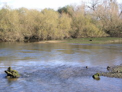 P2007B020146	The River Test to the north of Totton.