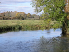 P2007B020181	The River Test at Longbridge Farm.