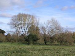 P2007B020183	Heading southwest towards the farm at Moorcourt.