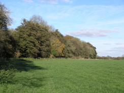 P2007B020193	Heading north from the farm at Moorcourt.