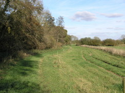 P2007B020195	Heading north from the farm at Moorcourt.