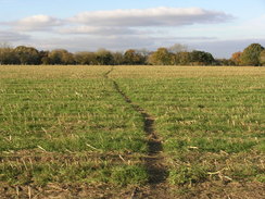 P2007B020231	Looking north along the Test Way from Old Salisbury Lane.