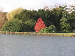 P2007B040331	The Thames between Hambleden Lock and Temple Island.