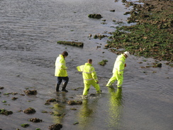 P2007B060630	Three workers below Langstone Bridge.