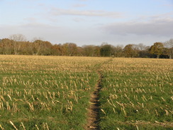 P2007B090725	The Test Way heading towards Lower Ratley.