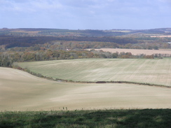 P2007B090796	The view from the track heading west along Dean Hill.