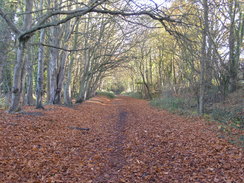 P2007B120922	Heading north along the old railway trackbed.