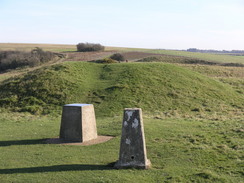 P2007B120976	The trig pillar on Old Winchester Hill.