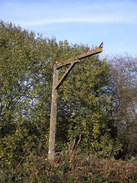 P2007B121015	An old loading gauge near the timber yard at Kingsmead.