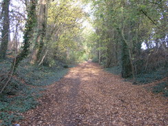 P2007B121020	Heading south towards Wickham.
