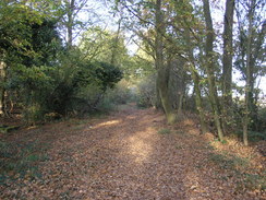 P2007B121038	Heading northeast towards Wickham.