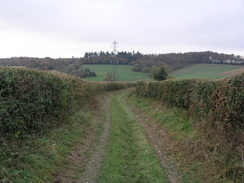 P2007B141065	The track leading north from Lower Woodcott Farm.