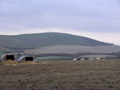 P2007B141095	The piggery, with Beacon Hill behind.