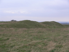 P2007B141104	The fort on Ladle Hill.