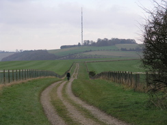 P2007B141121	Heading east alongside the gallops past Watership Down.