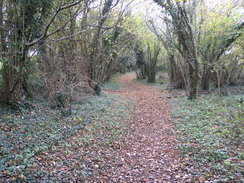 P2007B141141	Heading south from Walkeridge Farm.