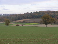 P2007B141163	Heading south towards Deane Down Farm.