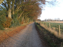 P2007B161237	Heading west along the track along Compton Down.