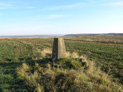 P2007B161271	Sutton Down trig pillar.