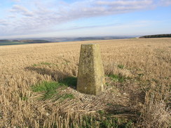 P2007B161300	White Sheet Hill trig pillar.