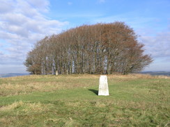 P2007B161353	Wingreen Hill trig pillar.