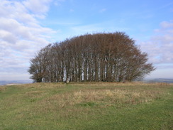 P2007B161356	Wingreen Hill.