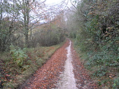 P2007B161432	Heading north downhill towards Broad Chalke.