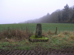 P2007B261480	Pyt House trig pillar.