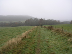 P2007B261524	The track heading down to the ponds.