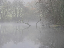 P2007B261527	A pond to the southwest of Old Wardour Castle.