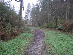 P2007B261528	The path through Park Copse.