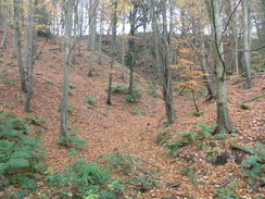 P2007B261531	Park Copse.