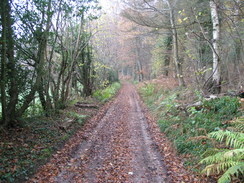 P2007B261584	The track heading west from Ruddlemoor Farm.