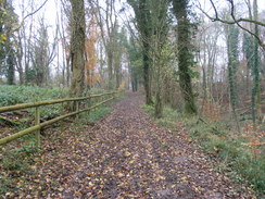 P2007B261593	Heading north through wooldand from Knoyle Corner.