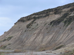 P2007C131850	Walking below the cliffs of Hengistbury Head.