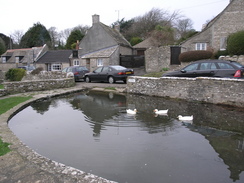 P20081122449	The pond in Worth Matravers.