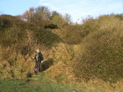 P20081272462	The path heading east from Worth Matravers.