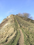 P20081272526	The ascent up Houns-tout Cliff.