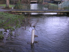 P20081302663	The River Avon in Ringwood.